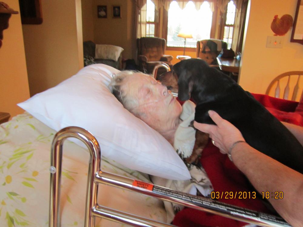 loving his dog
